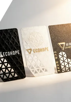 ECOHOPE — Our Vision